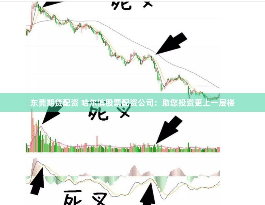 东莞期货配资 哈尔滨股票配资公司：助您投资更上一层楼