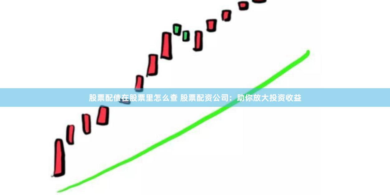 股票配债在股票里怎么查 股票配资公司:助你放大投资收益