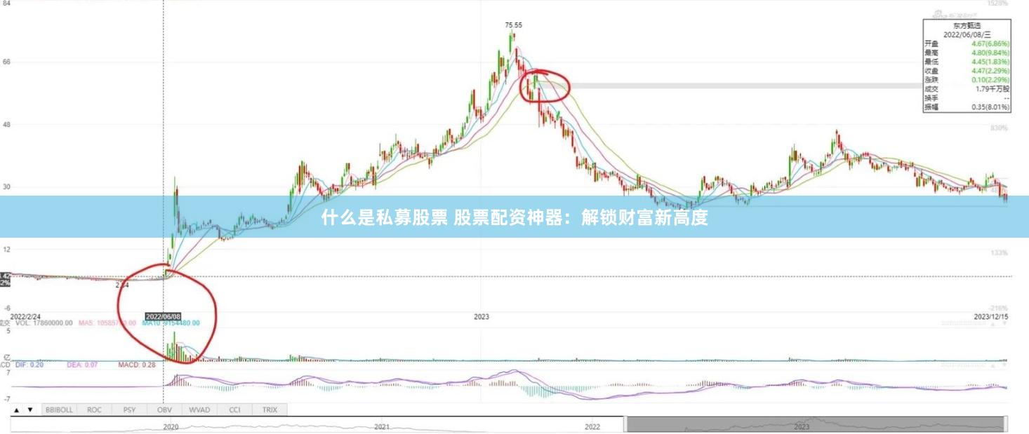什么是私募股票 股票配资神器：解锁财富新高度