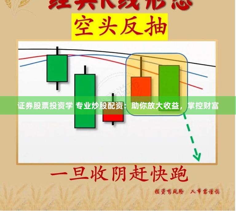 证券股票投资学 专业炒股配资：助你放大收益，掌控财富