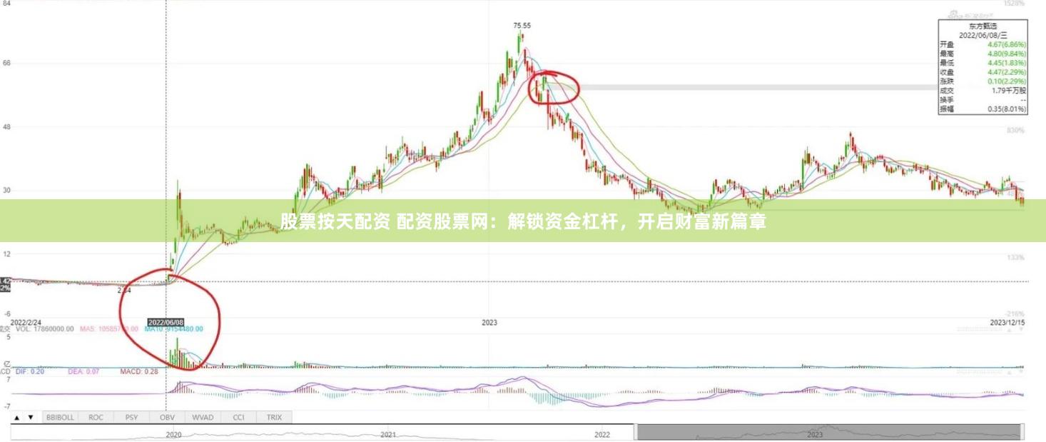 股票按天配资 配资股票网：解锁资金杠杆，开启财富新篇章