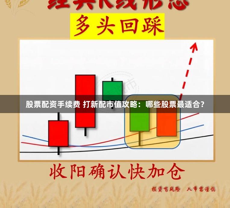 股票配资手续费 打新配市值攻略:哪些股票最适合?