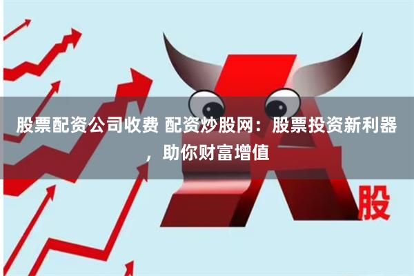 股票配资公司收费 配资炒股网:股票投资新利器,助你财富增值