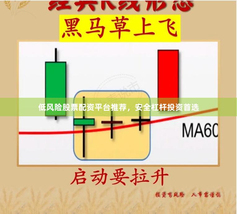 低风险股票配资平台推荐，安全杠杆投资首选